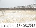 雪の草原　北海道 134088348