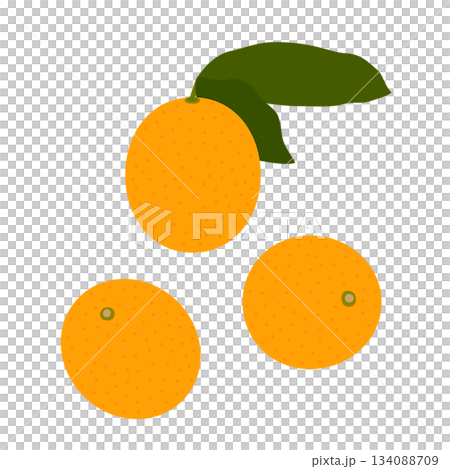 3個金橘 134088709