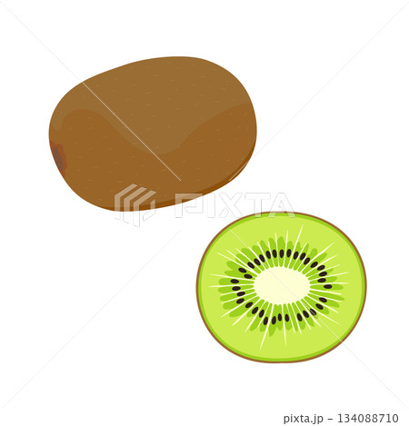 キウイ1個と断面のイラストセット キウイ1個と断面のイラストセット 134088710