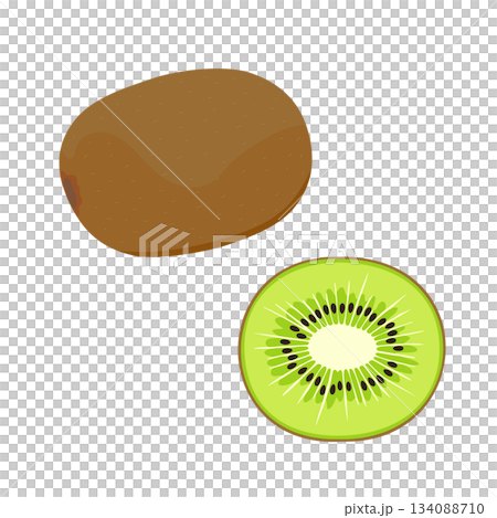 キウイ1個と断面のイラストセット キウイ1個と断面のイラストセット 134088710