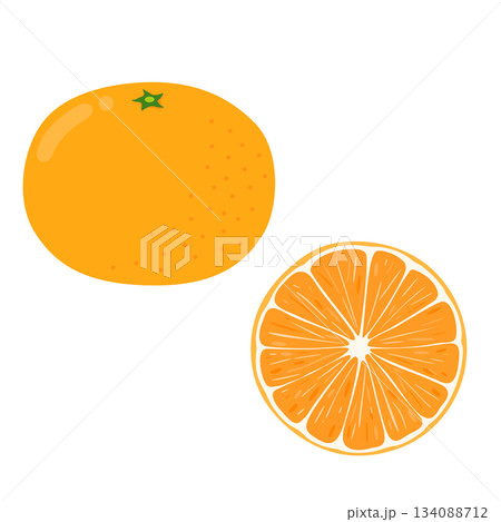 みかん1個と断面のイラストセット みかん1個と断面のイラストセット 134088712