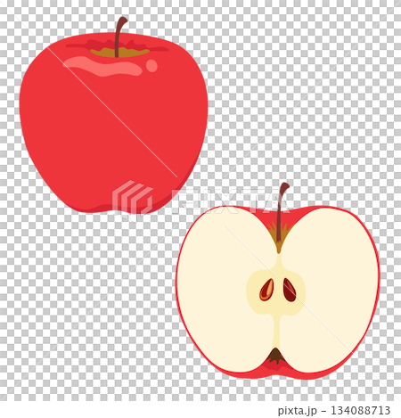 りんご1個と断面のイラストセット 134088713