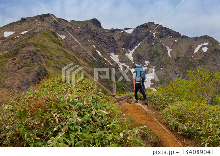 西黒尾根・ラクダの背を行く登山者と谷川岳山頂 西黒尾根・ラクダの背を行く登山者と谷川岳山頂 134089041