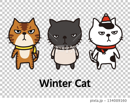 Winter cat 134089160