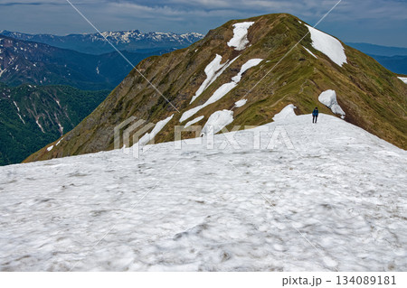 谷川連峰・一ノ倉岳の雪渓を行く登山者と茂倉岳・苗場山の眺め 134089181