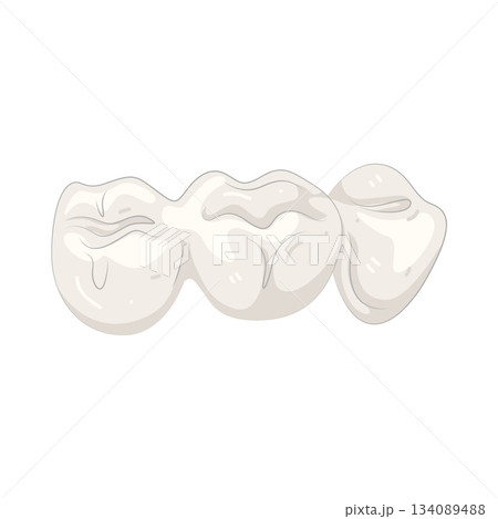 Illustration of tooth 134089488