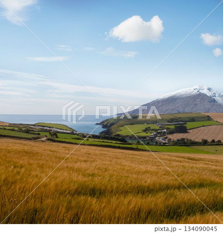 Country scene with mountain 134090045