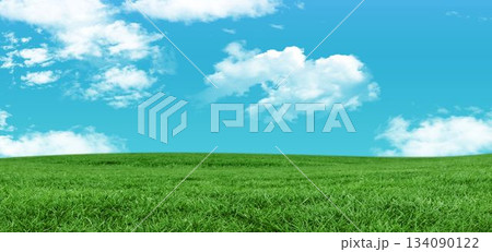 Flat design illustration is showing rolling green grass field under bright blue sky with clouds 134090122