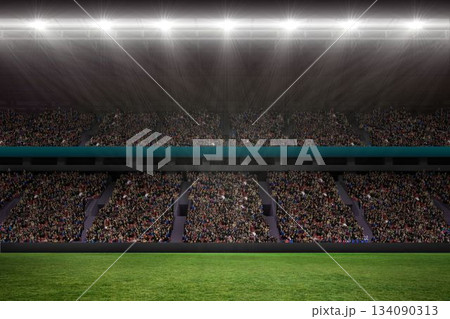 Digital image of crowded soccer stadium Digital image of crowded soccer stadium 134090313