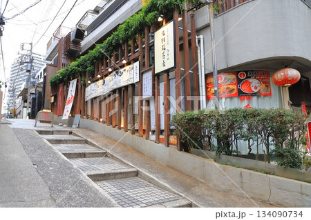 神楽坂 芸者新道(しんどう)(神楽坂三丁目) 神楽坂 芸者新道(しんどう)(神楽坂三丁目) 134090734