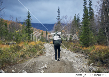 A tourist with a backpack walks along a road in the forest in cloudy weather. 134090939
