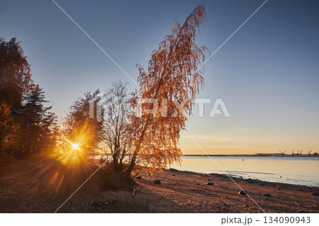 Landscape of an autumn birch tree near the river bank against a background of blue sky at sunset Landscape of an autumn birch tree near the river bank against a background of blue sky at sunset 134090943