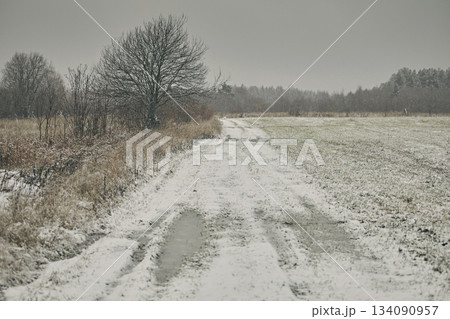 Winter road with ruts, snow and puddles against the background of fields in cloudy weather 134090957