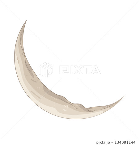 Illustration of crescent moon  134091144