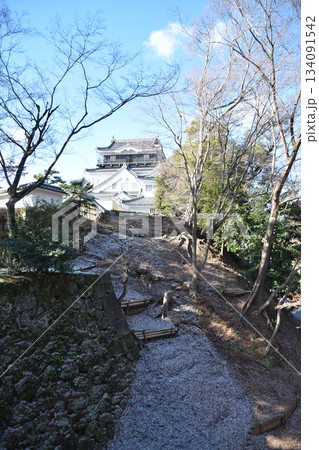 Old castle with snow 年賀状素材~初雪で雪化粧した城址公園の冬の早朝のお散歩風景 Old castle with snow 年賀状素材~初雪で雪化粧した城址公園の冬の早朝のお散歩風景 134091542