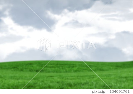 Idyllic view of grassy landscape 134091761