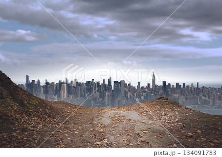 Large city on the horizon 134091783