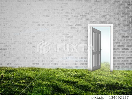 Open door on wall on grass 134092137
