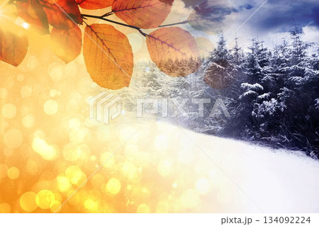 Autumn changing to winter 134092224