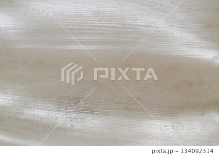 竹の種類・ホウライチク（蓬莱竹）の皮の背景素材 134092314