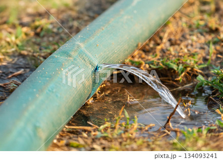 Water leaking from hole in a industrial hose. 134093241