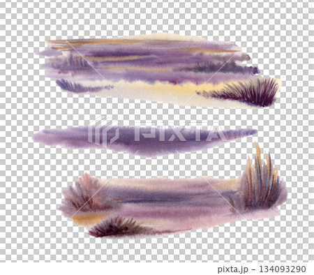 Dusky coastal or desert landscape where sand meets dry grass,cast in deep violet shadows.Hand drawn illustration with watercolor gradients,for travel themes,nature blogs,and evocative wall decor 134093290