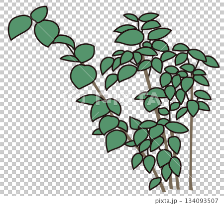 商業設施綠化設計 | 時尚外觀、灌木和象徵性樹木的向量圖 商業設施綠化設計 | 時尚外觀、灌木和象徵性樹木的向量圖 134093507