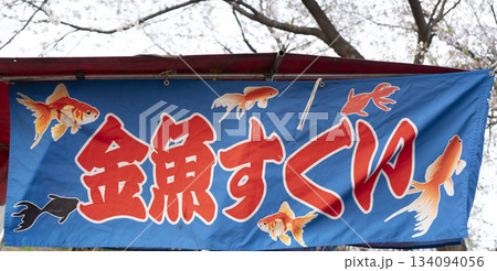 金魚すくいののぼり 134094056