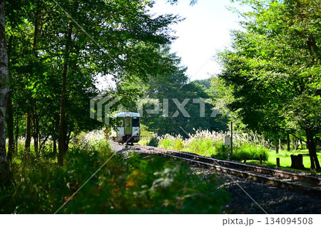 JR山田線樺底踏切付近の風景 JR山田線樺底踏切付近の風景 134094508