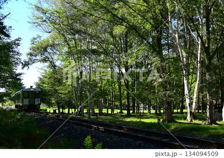 JR山田線樺底踏切付近の風景 JR山田線樺底踏切付近の風景 134094509