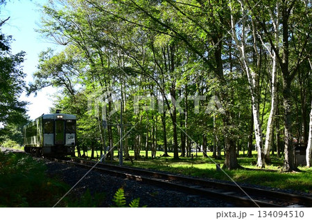 JR山田線樺底踏切付近の風景 JR山田線樺底踏切付近の風景 134094510