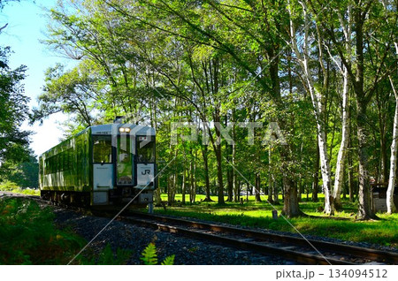 JR山田線樺底踏切付近の風景 134094512