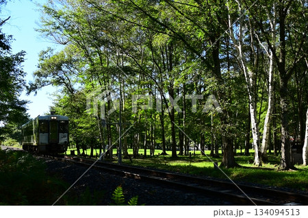 JR山田線樺底踏切付近の風景 JR山田線樺底踏切付近の風景 134094513