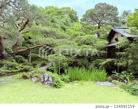 京都のレストランの日本庭園 134095159