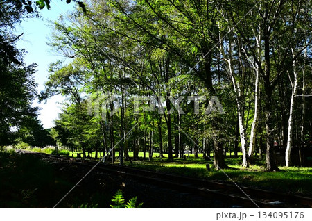 JR山田線樺底踏切付近の風景 JR山田線樺底踏切付近の風景 134095176