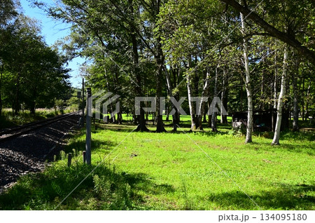 JR山田線樺底踏切付近の風景 JR山田線樺底踏切付近の風景 134095180