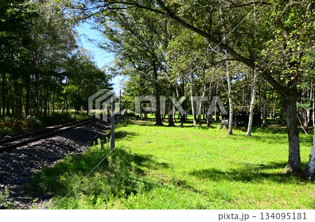 JR山田線樺底踏切付近の風景 JR山田線樺底踏切付近の風景 134095181