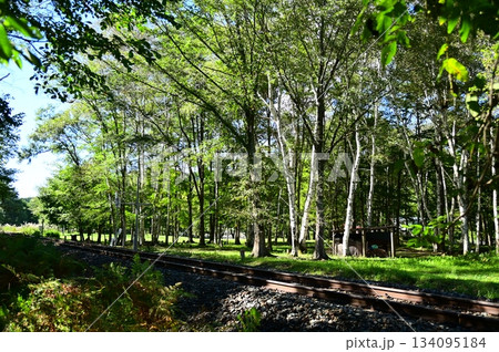 JR山田線樺底踏切付近の風景 JR山田線樺底踏切付近の風景 134095184
