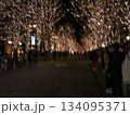 丸の内イルミネーション。 丸の内イルミネーション。 134095371