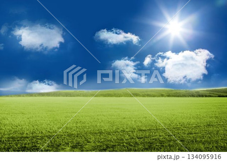 Expansive green field is stretching under deep blue sky with fluffy white clouds in flat design Expansive green field is stretching under deep blue sky with fluffy white clouds in flat design 134095916