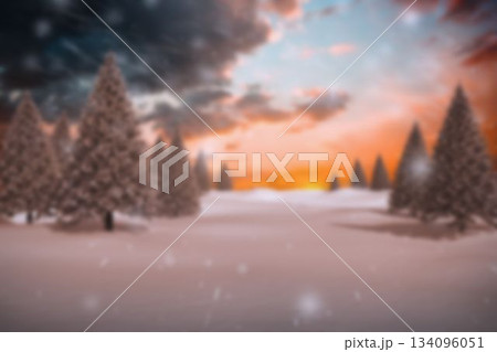 Flat design winter scene is showing snowy pine trees with falling snowflakes under sunset clouds Flat design winter scene is showing snowy pine trees with falling snowflakes under sunset clouds 134096051