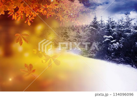 Autumn changing to winter Autumn changing to winter 134096096