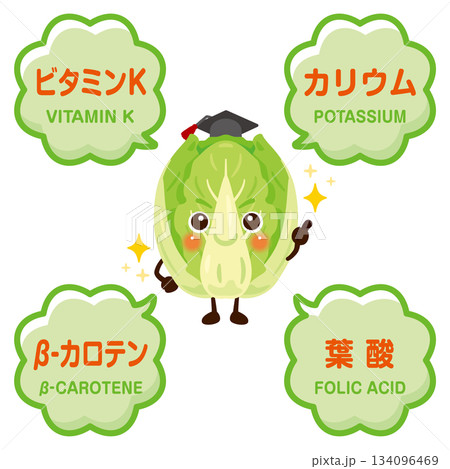 白菜のキャラクターと白菜に含まれる成分イラスト 白菜のキャラクターと白菜に含まれる成分イラスト 134096469