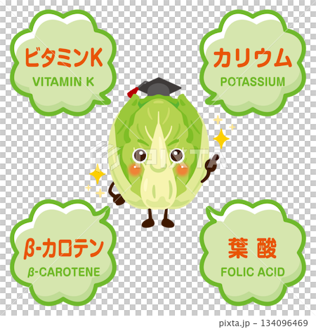 白菜のキャラクターと白菜に含まれる成分イラスト 白菜のキャラクターと白菜に含まれる成分イラスト 134096469