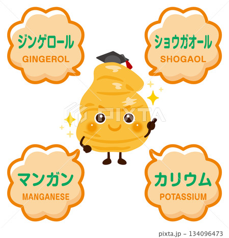 生姜のキャラクターと生姜に含まれる成分イラスト 生姜のキャラクターと生姜に含まれる成分イラスト 134096473
