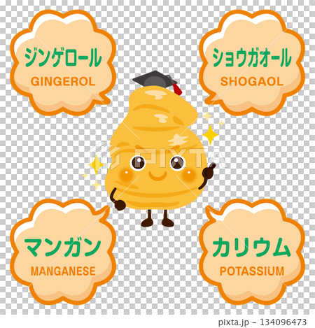 生薑的特徵和生薑成分圖示 134096473