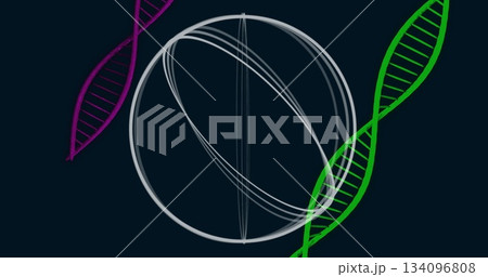 Floating grey wireframe sphere rotating in dark illustration, with magenta and green DNA helices Floating grey wireframe sphere rotating in dark illustration, with magenta and green DNA helices 134096808