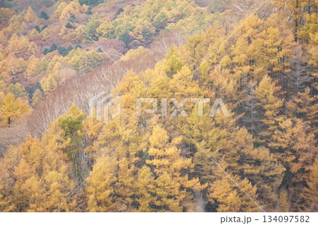 赤城山山頂から見る黄葉 134097582