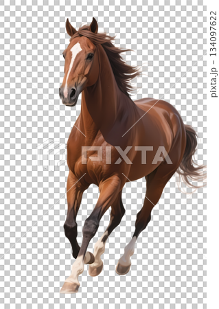 Illustration of a brown horse galloping from the front (transparent PNG) Illustration of a brown horse galloping from the front (transparent PNG) 134097622