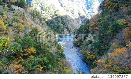 寸又峡 夢のつり橋 寸又峡 夢のつり橋 134097877